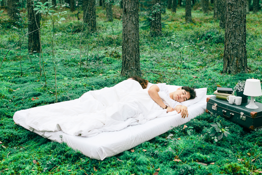 The Cozy Factor: Achieving the Best Sleep Possible